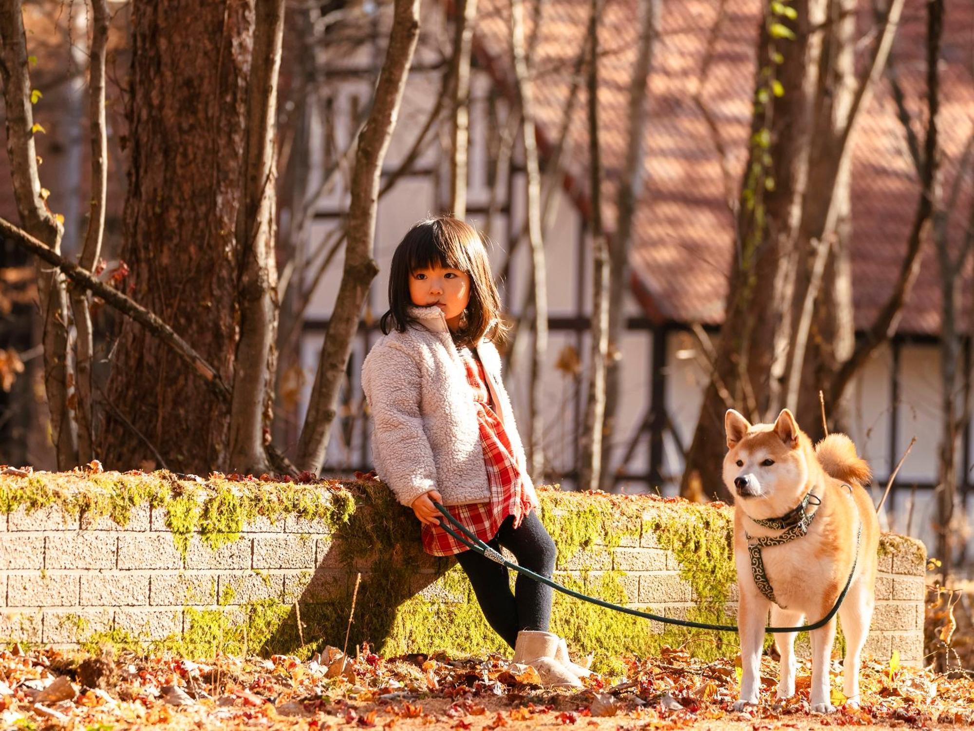 Tokachi Nakasatsunai Glamping Resort Feriendorf Esterno foto